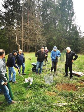 Obrezovanje sadovnjaka ob Prežihovi bajti (2)